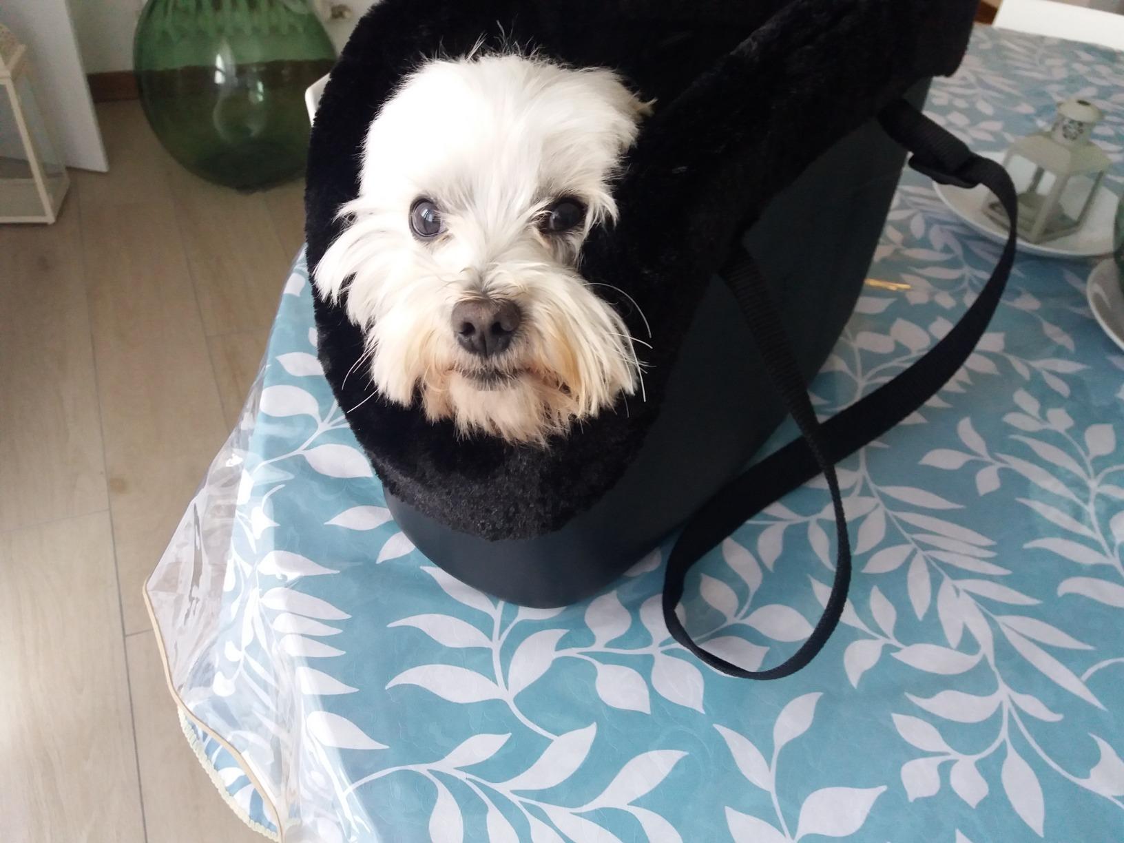 Kuschelwarm