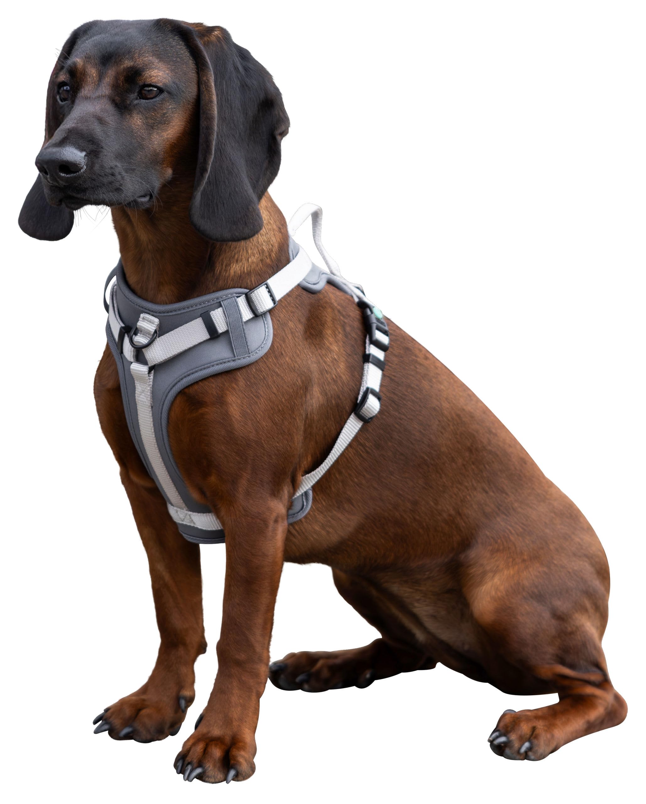 kerbl-pet-hundegeschirr-fitty-grau-beige-15-mm-30-50-cm-y-geschirr-nylon image 3