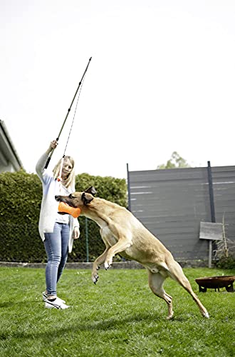 kerbl-pet-reizangel-f-r-hunde-teleskop-47-130-cm image 7