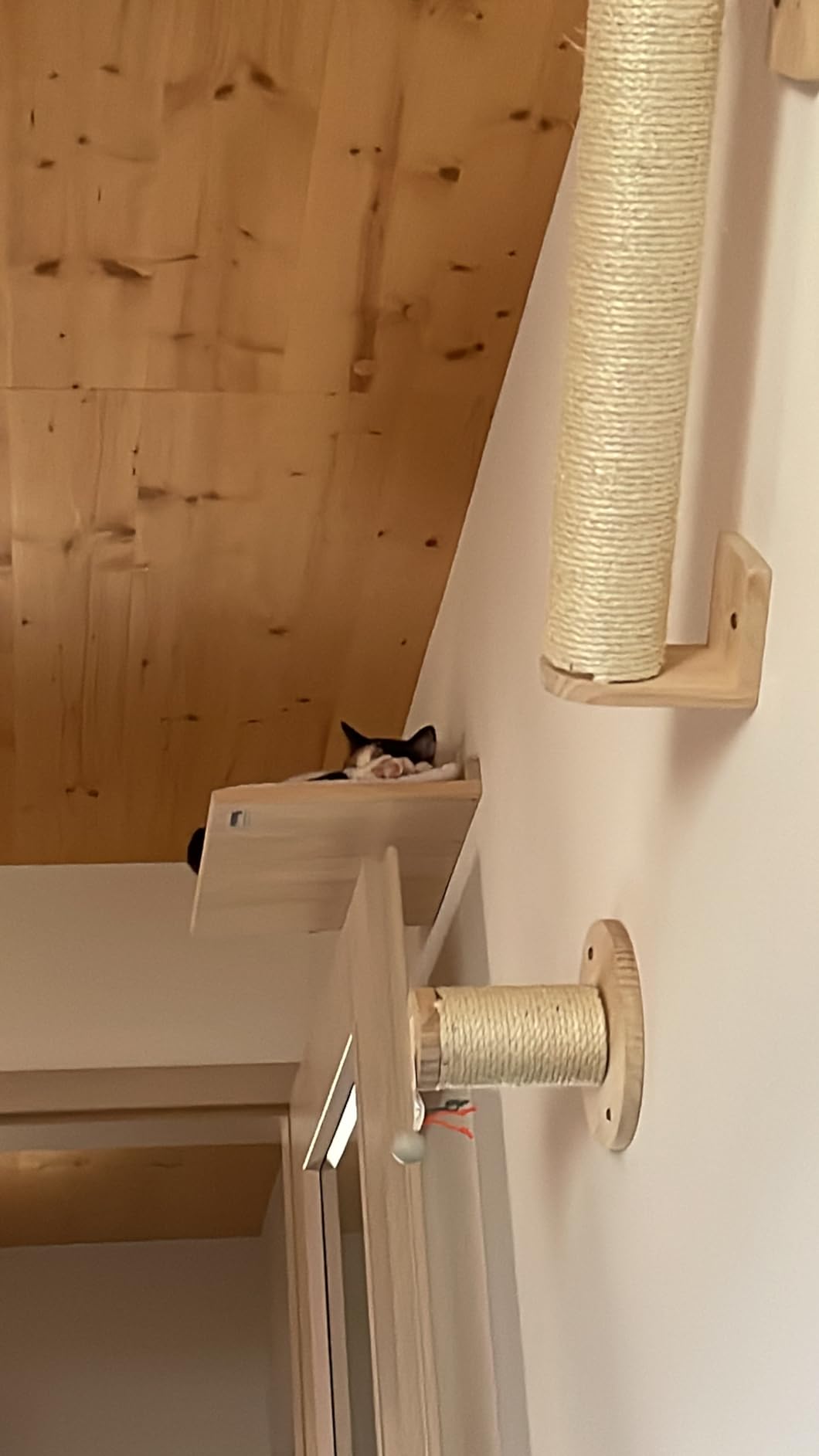 Schick und stabil