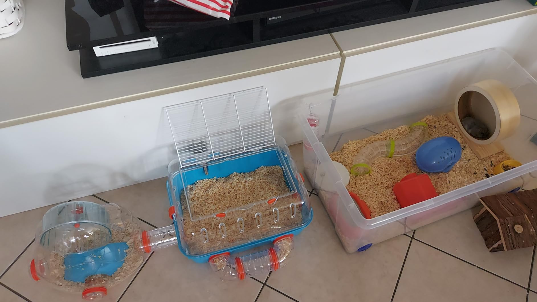 Enkelkinder begeistert