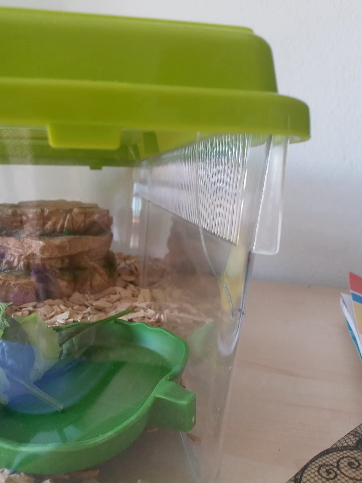 Ideal als Transportbox