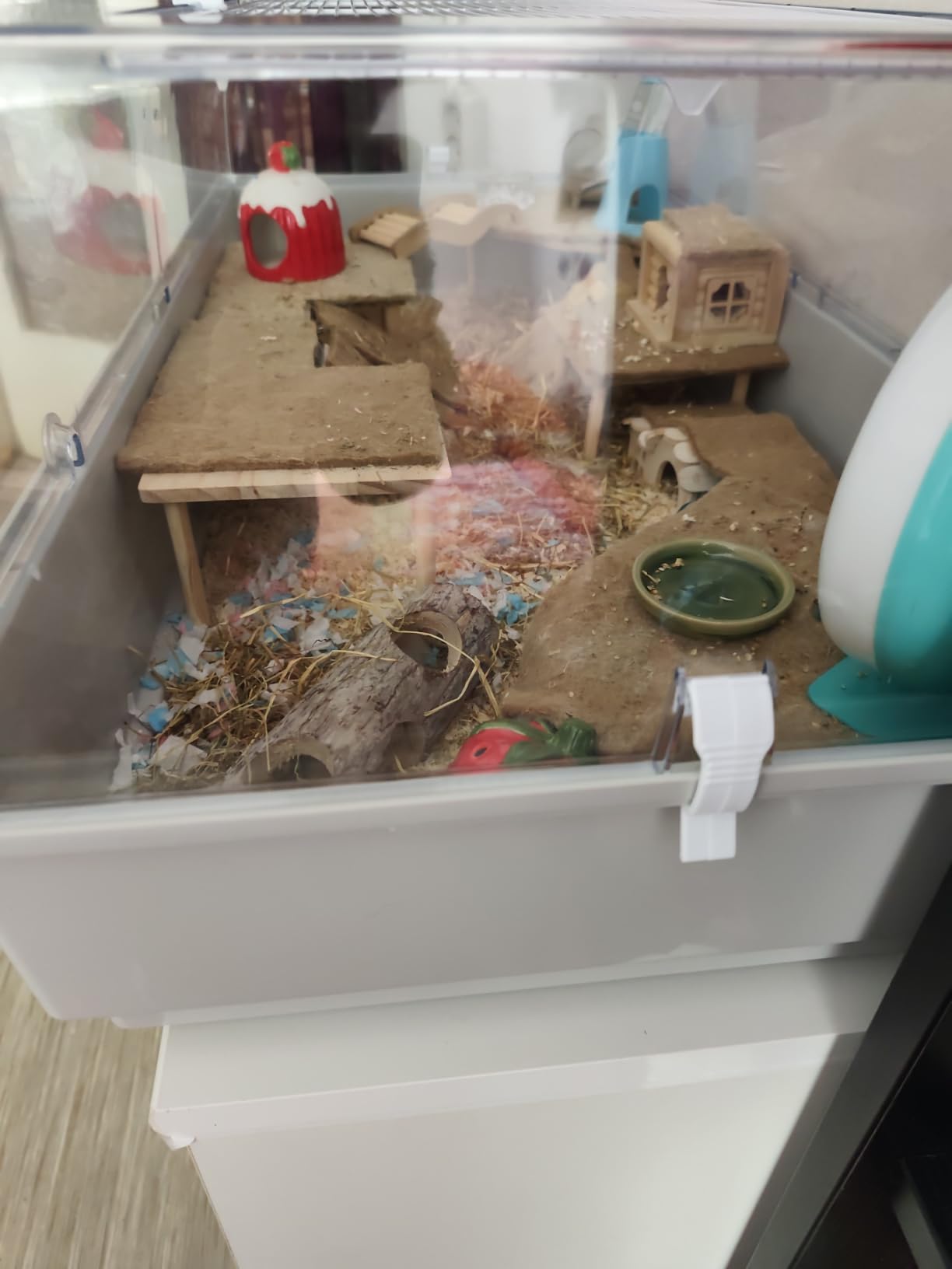 Perfekt für unseren Goldhamster