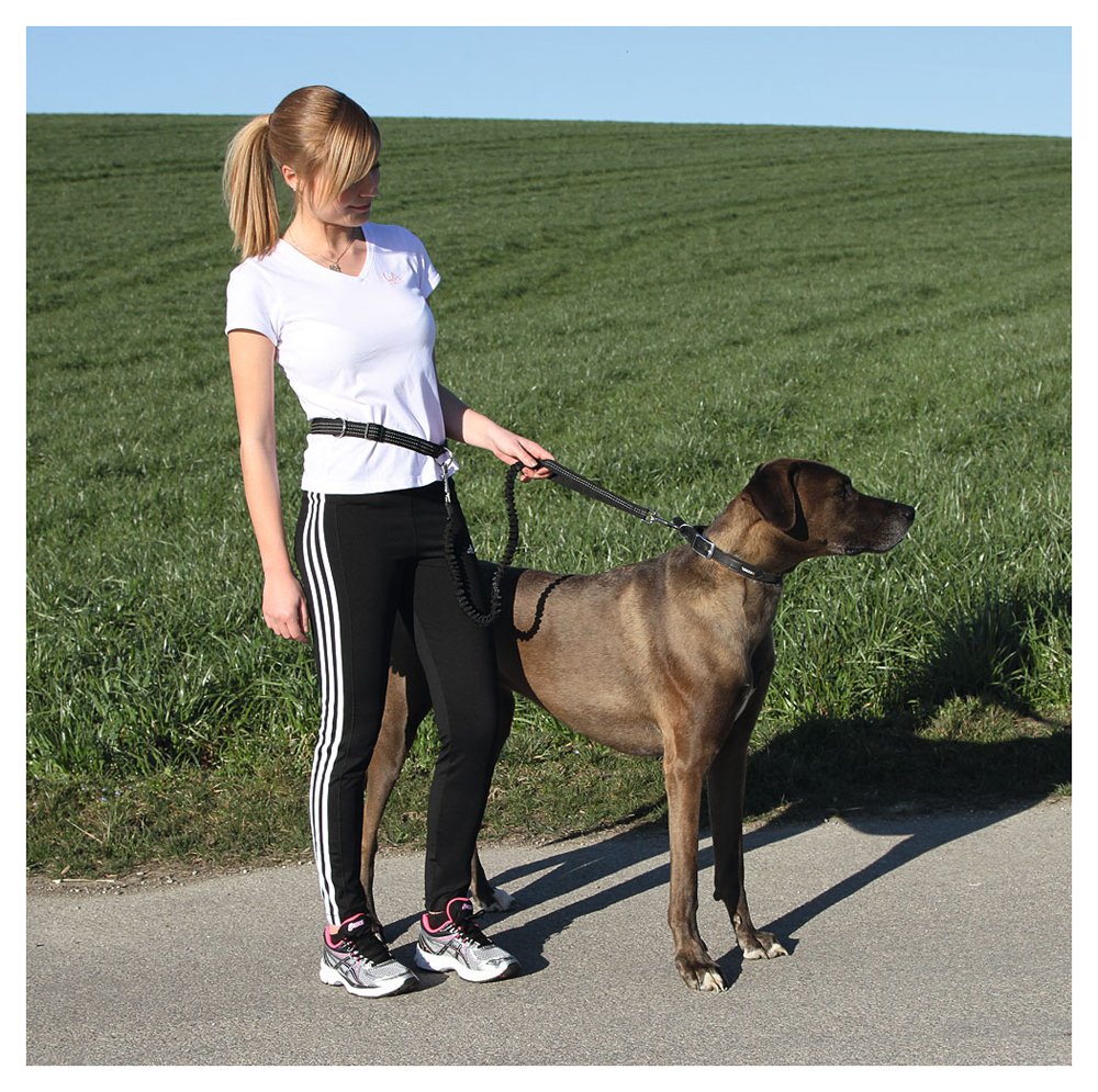 kerbl-pet-joggingleine-active-mit-h-ftgurt-1-1-40-m image 3