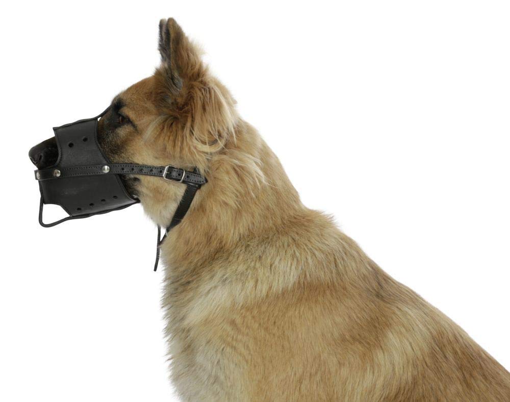 kerbl-pet-leder-maulkorb-m-schwarz-u-26-cm-maulkorb-aus-echtleder-f-r-hunde image 2