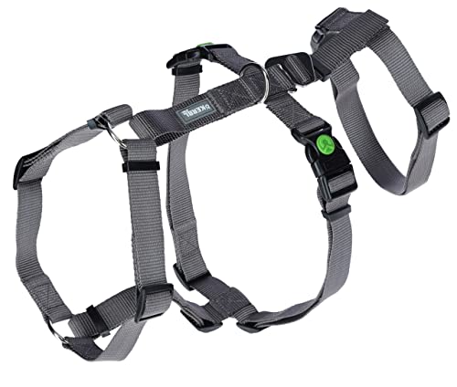 kerbl-pet-panikgeschirr-miami-sicherheitsgeschirr-grau-30-41-cm-15-mm image 8