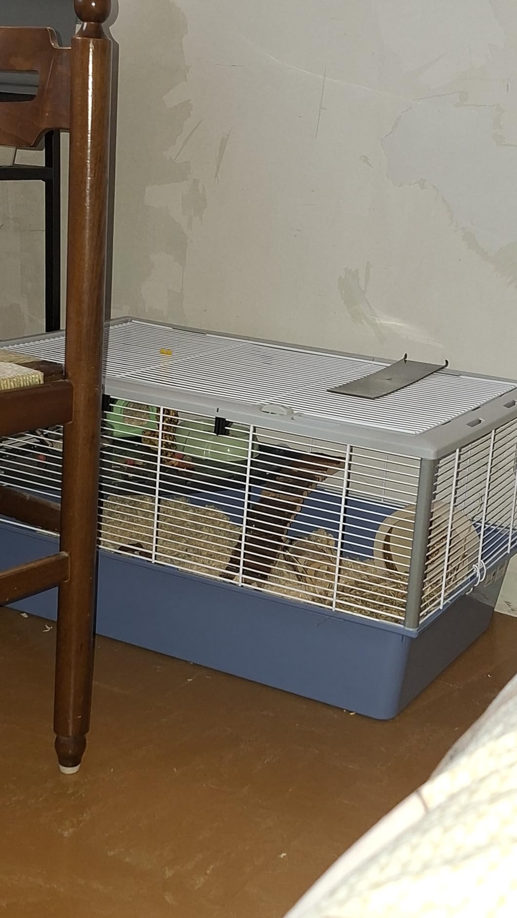 Mega Starterset für unseren Goldhamster