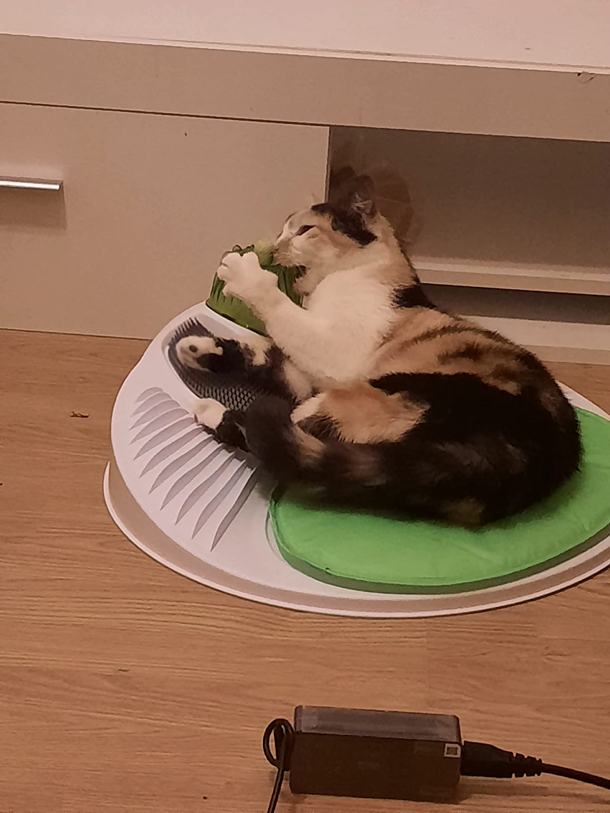 Ganz nett, Bürsten etwas hart
