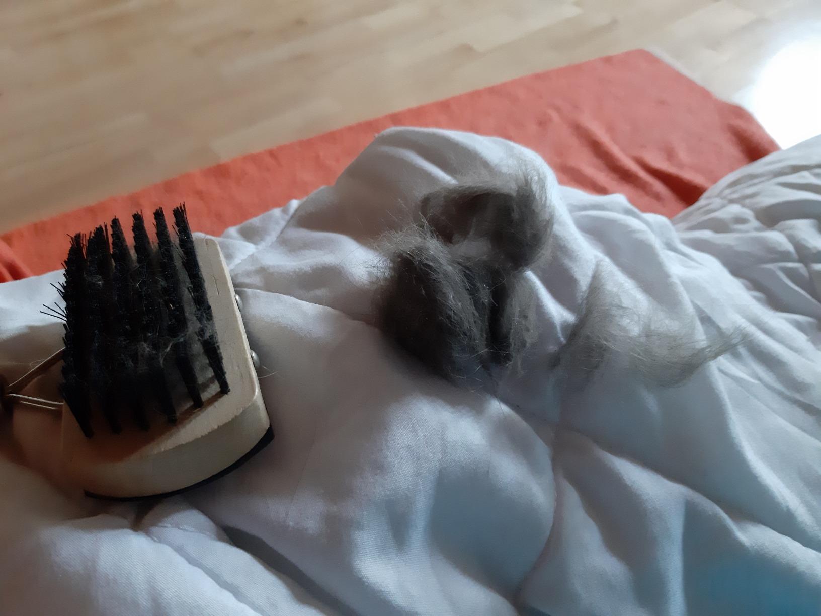 Super Bürste für Fellwechsel