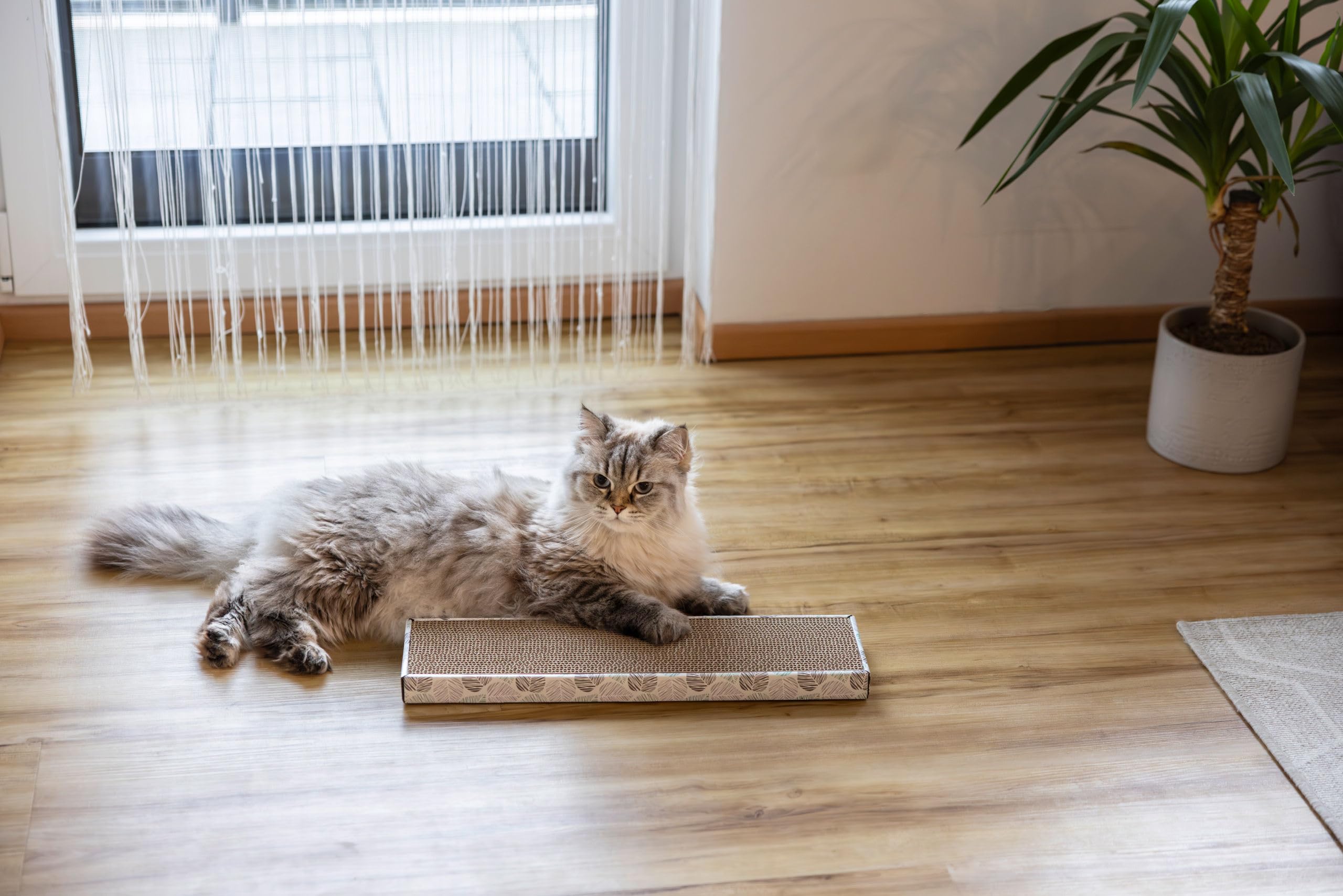 kerbl-pet-katzenkratzbrett-flat-kratzbrett-wellpappe-46-x-12-x-3-cm image 3