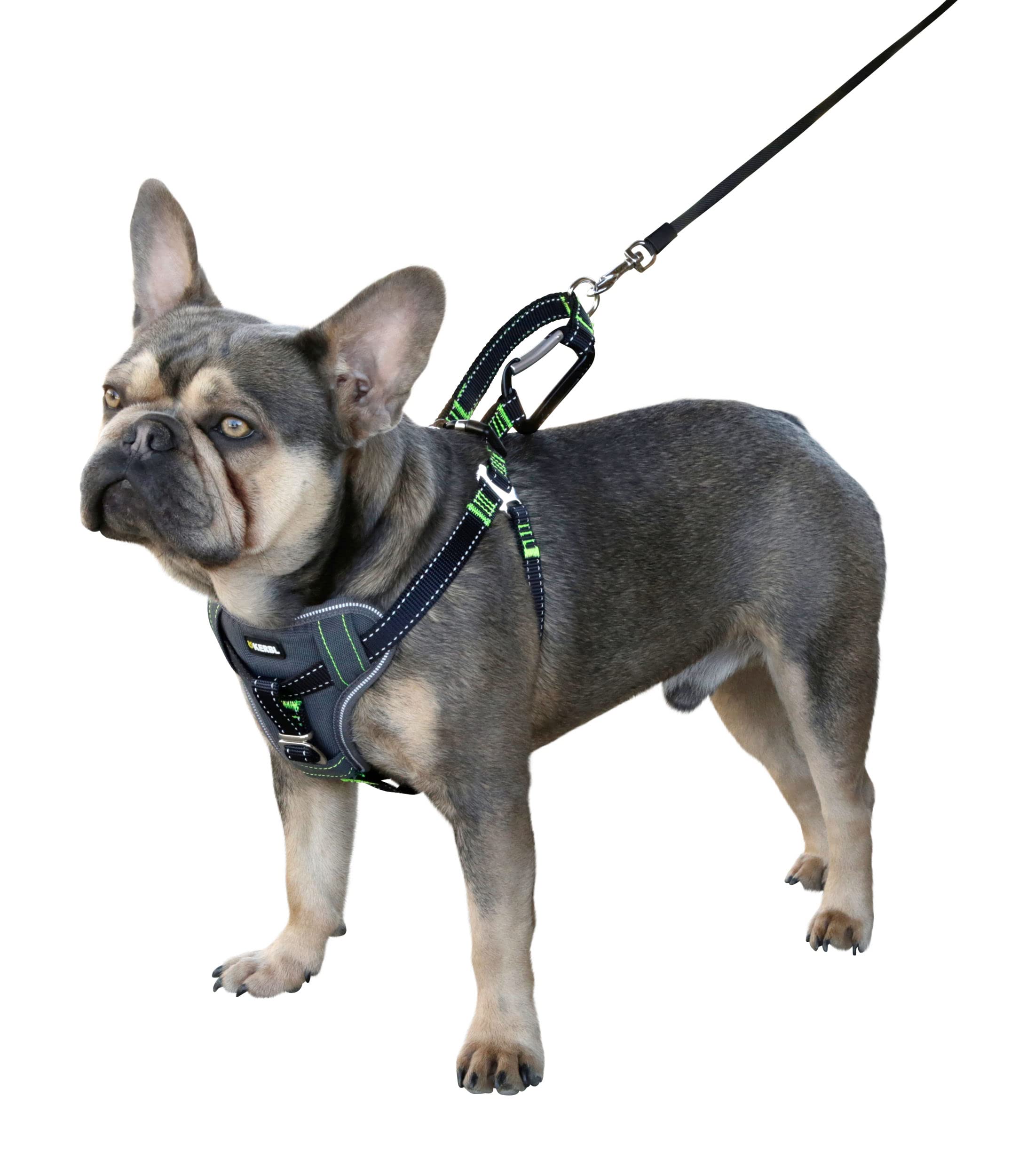 kerbl-pet-autosicherheitsgeschirr-schwarz-l-65-85-cm-25-mm image 2