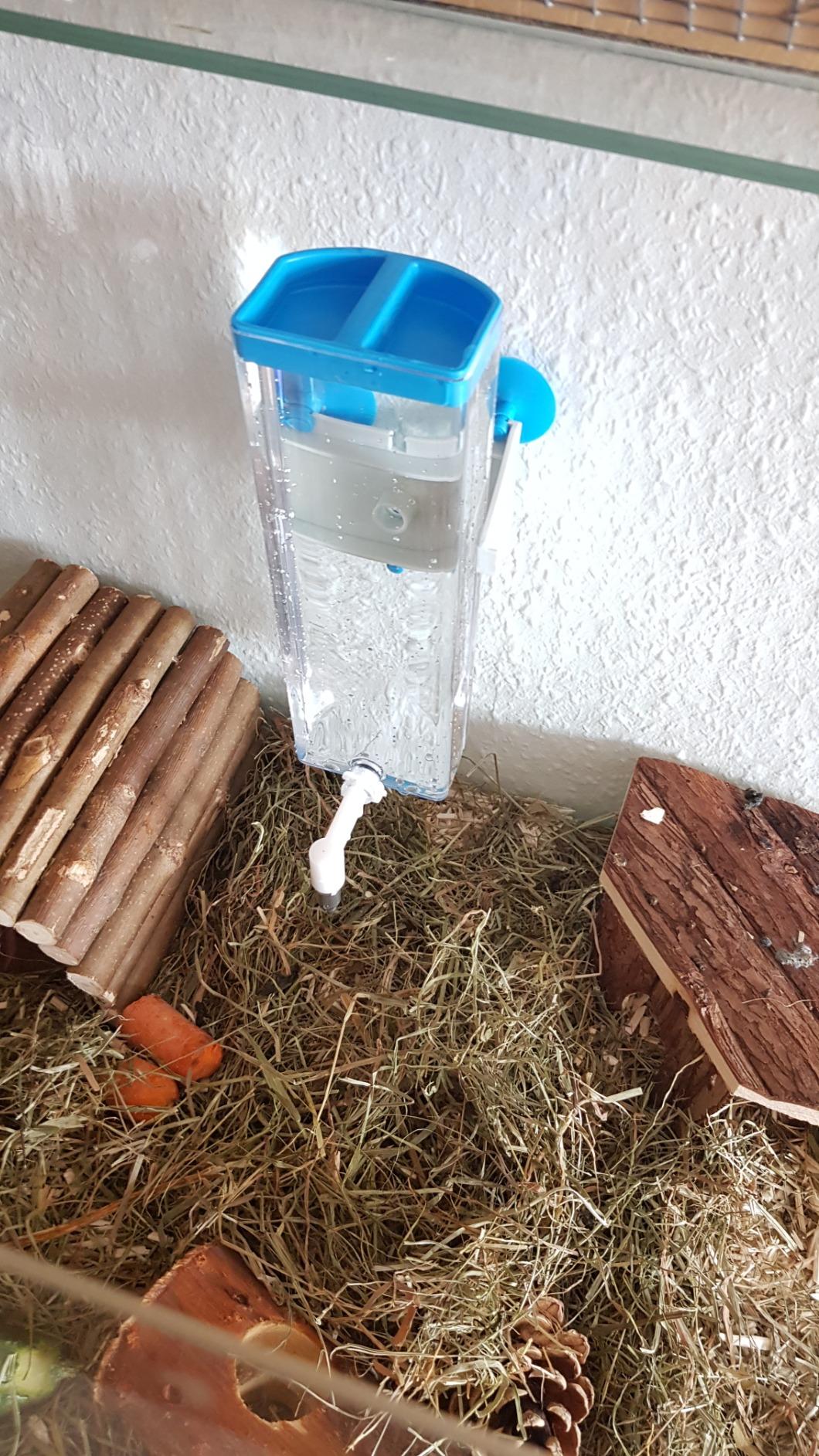 Endlich keine Pfütze mehr