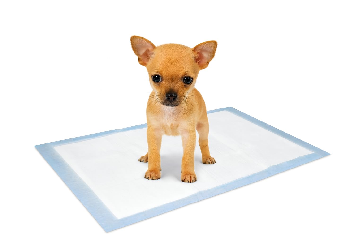 karlie-puppy-pads-trainingsmatte-35-x-45-cm-10-st-ck image 1