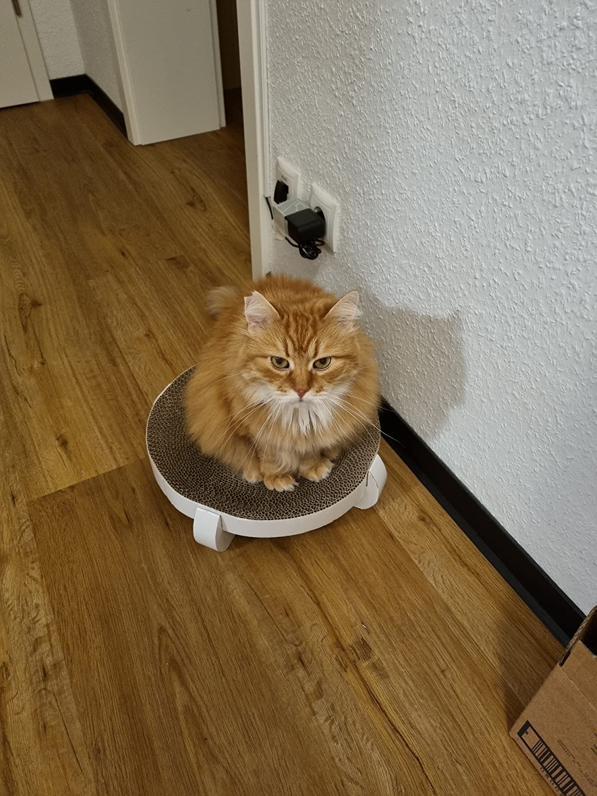 Sofa gerettet