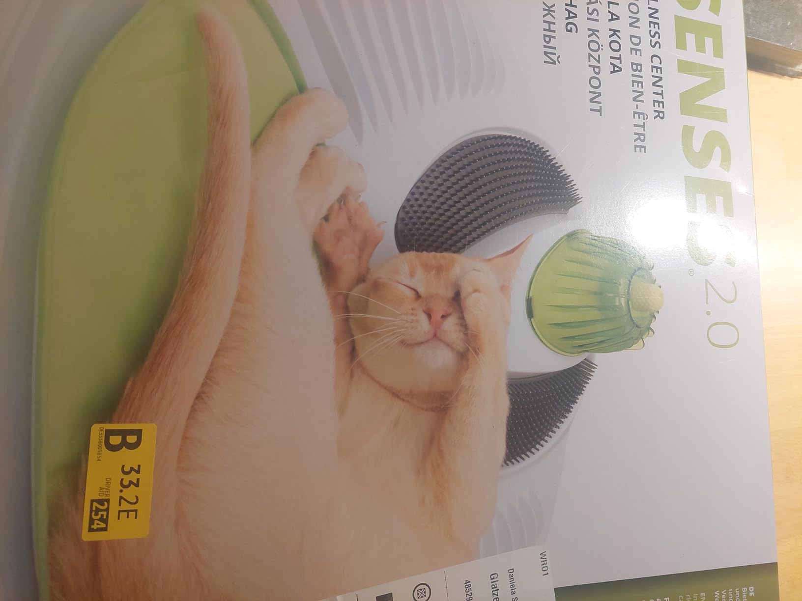 Gute Beschäftigung für Wohnungskatzen