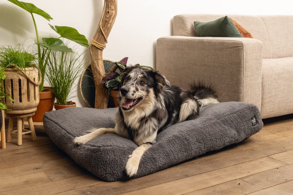 karlie-minus-one-hundebett-liegekissen-dunkelgrau-100x70x15-cm image 4