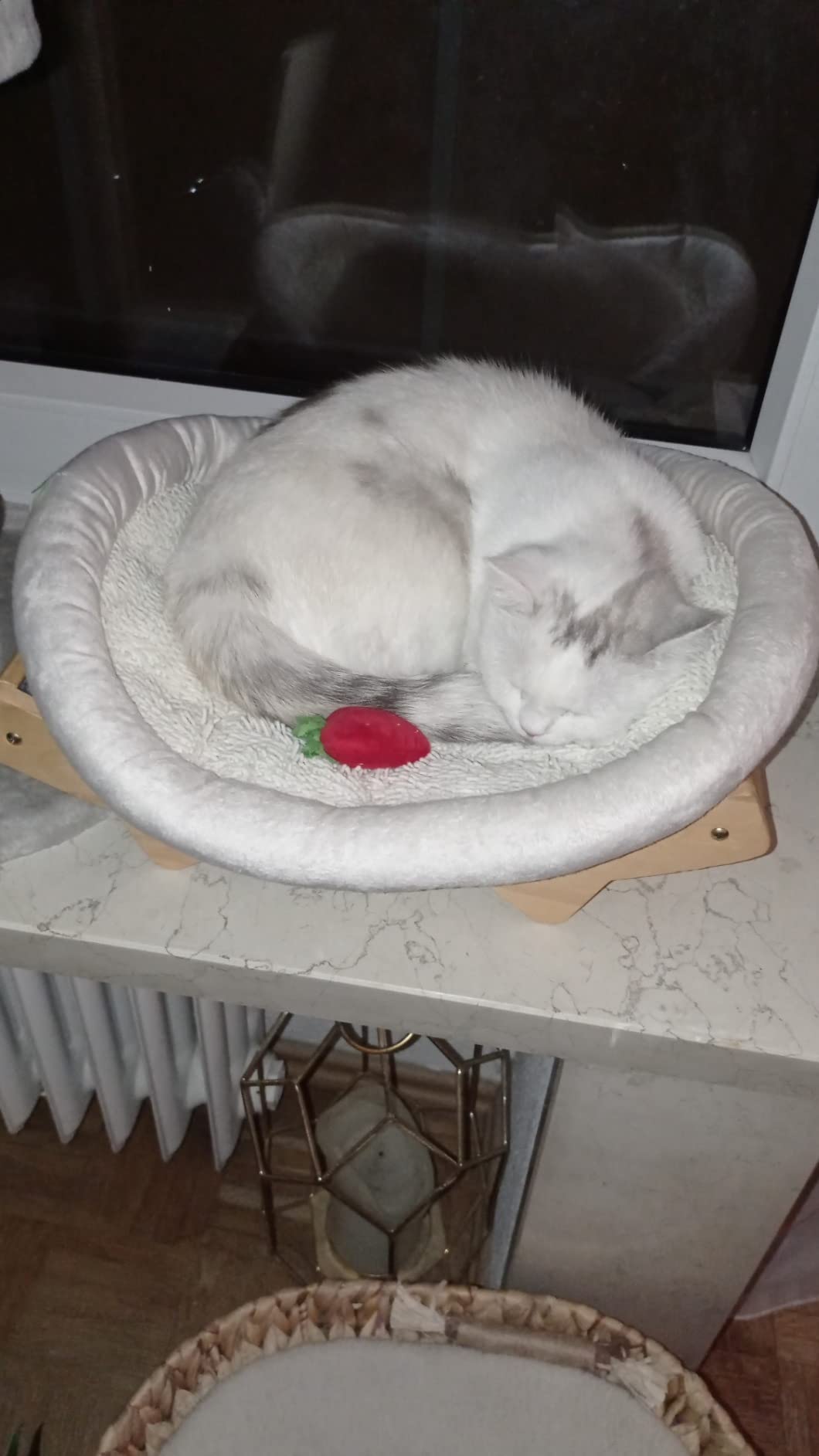 Sweety macht ihrem Namen Ehre