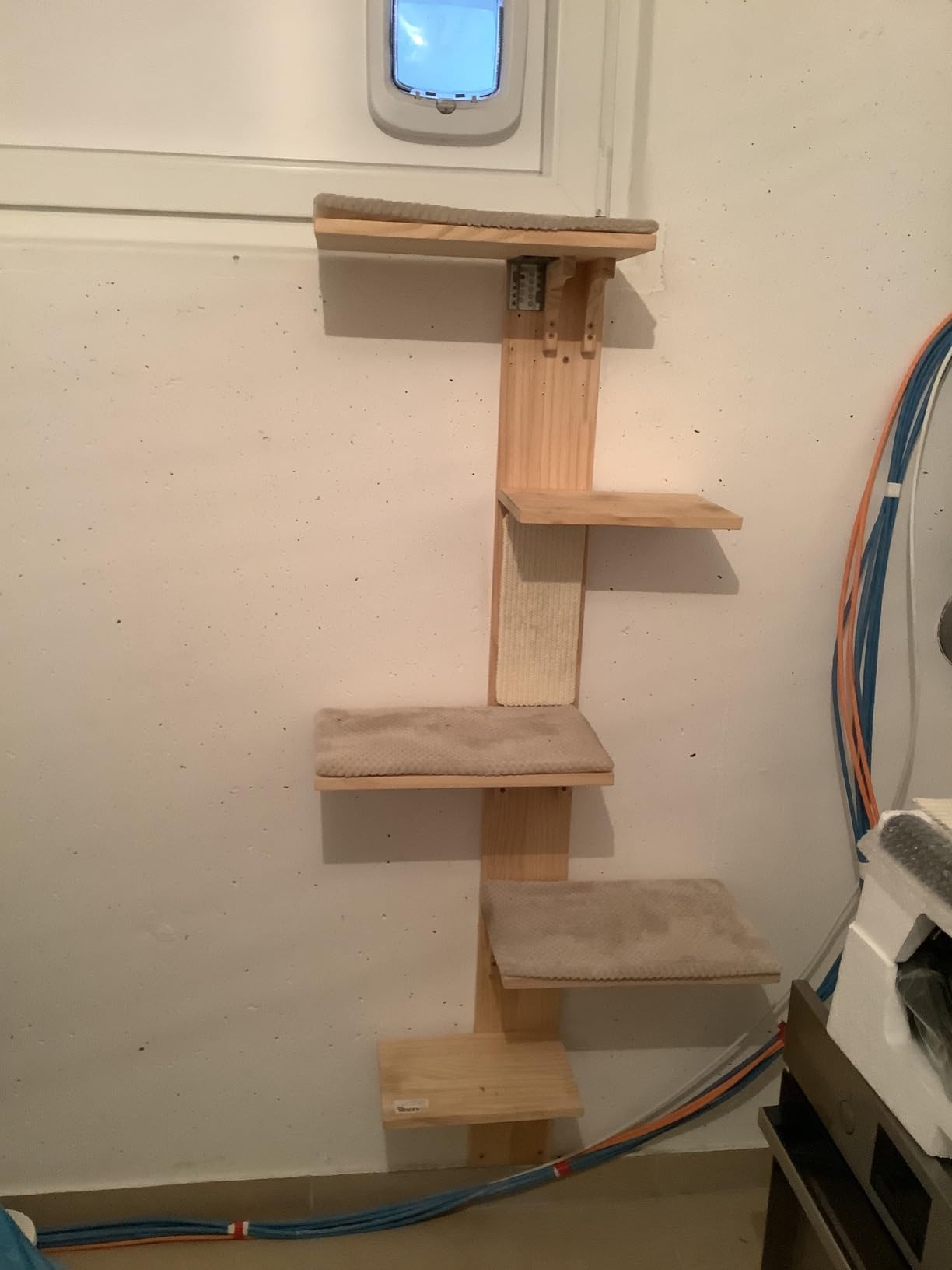 Gute Idee, Katze musste sich dran gewöhnen