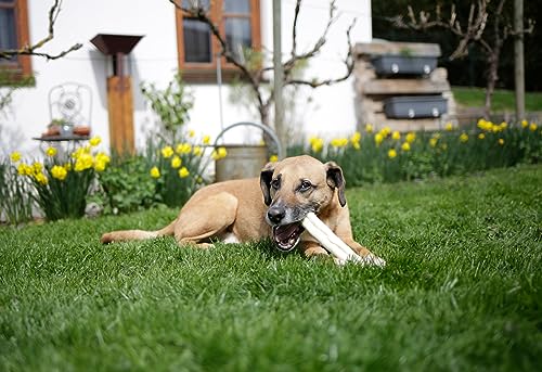 kerbl-pet-kaurollen-20-mm-25-cm-rinderhaut-3-st-ck-180-g image 5