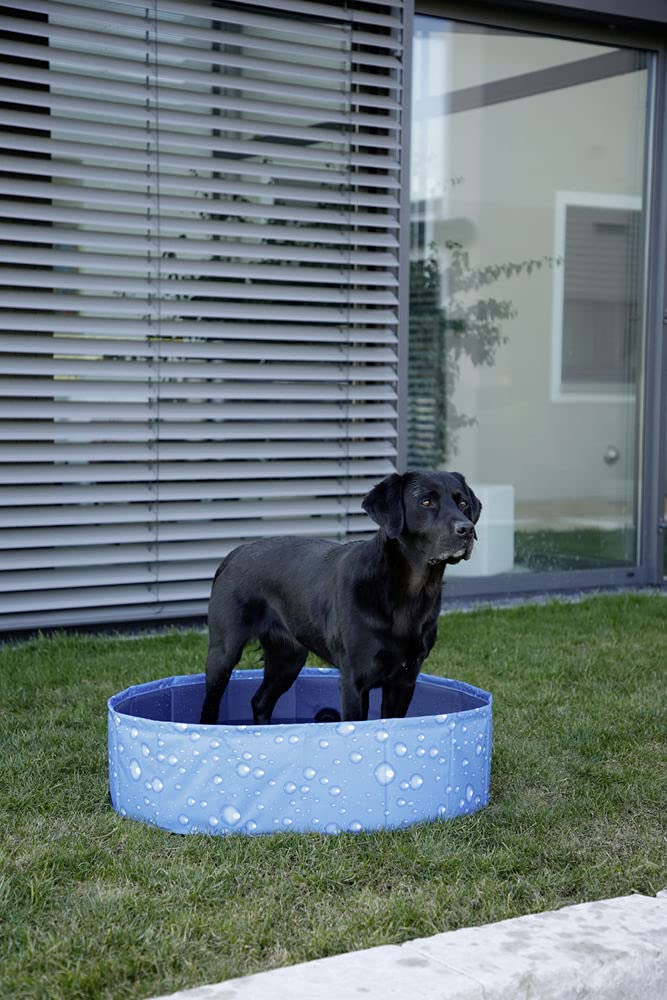 kerbl-pet-hundepool-bubble-blau-120-x-30-cm-kratzfestes-pvc image 6