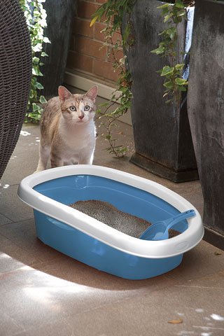 kerbl-sprint-katzentoilette-mit-rand-58-x-39-x-17-cm-blau-wei image 5