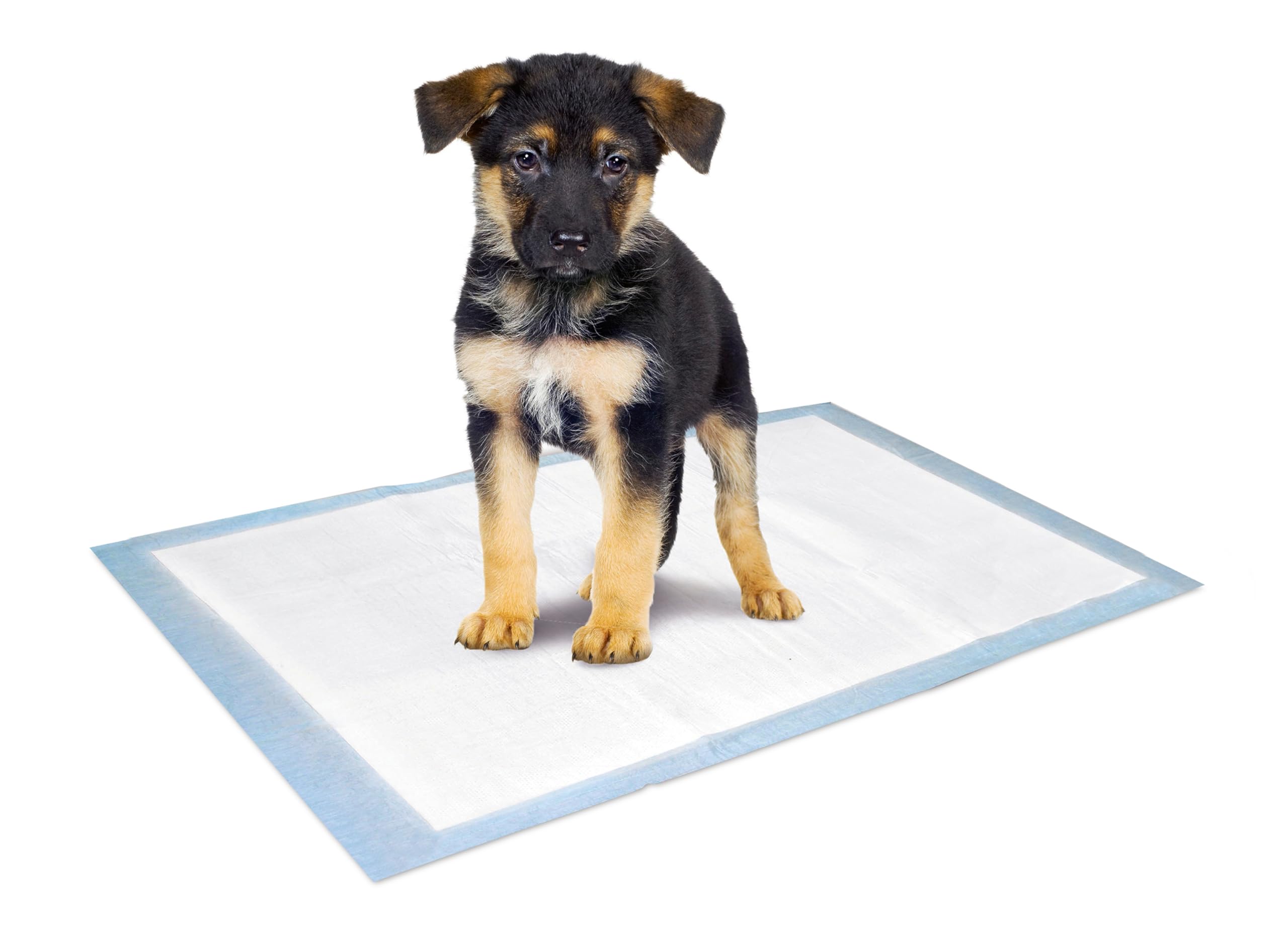 karlie-puppy-pads-trainingsmatte-35-x-45-cm-10-st-ck image 5