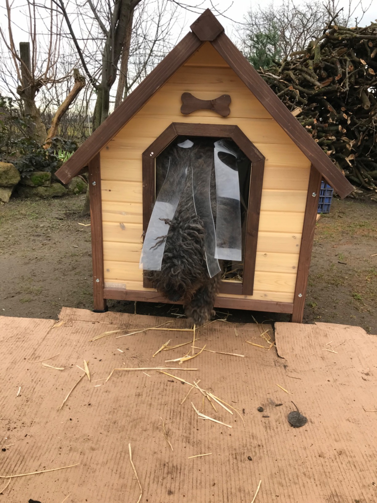 Top Hütte für unseren Hofhund