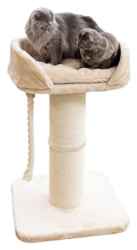 kerbl-pet-kratzbaum-toni-xl-beige-58-x-58-x-93-cm-f-r-maine-coon image 8