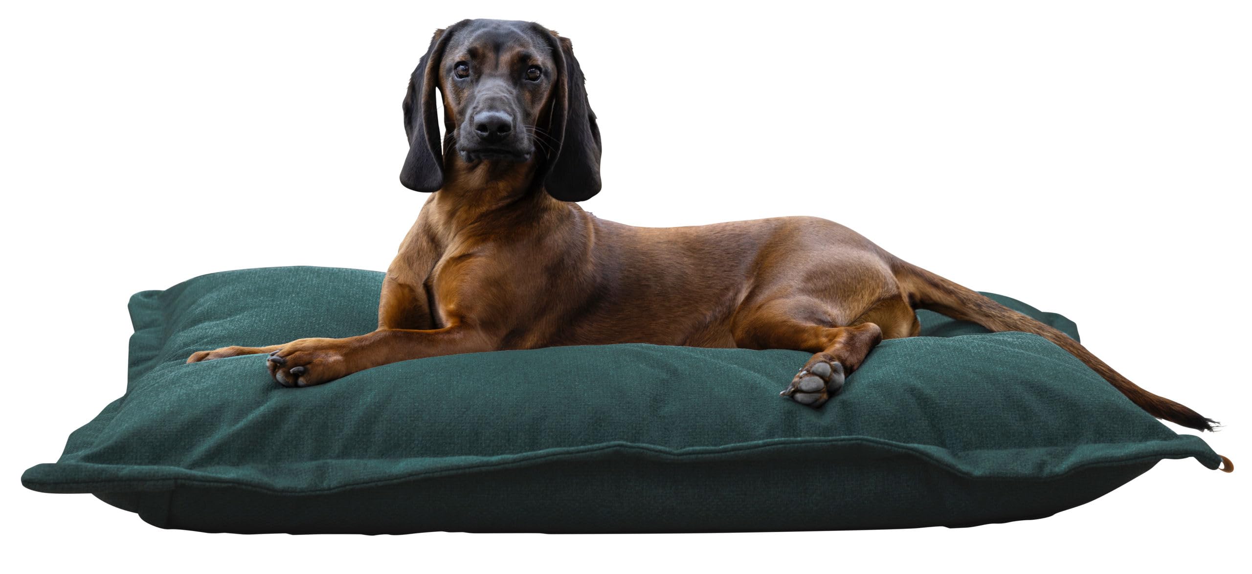 kerbl-pet-kuschelbett-oliver-english-green-80-x-60-x-15-cm-polyester-mit-abnehmb image 4