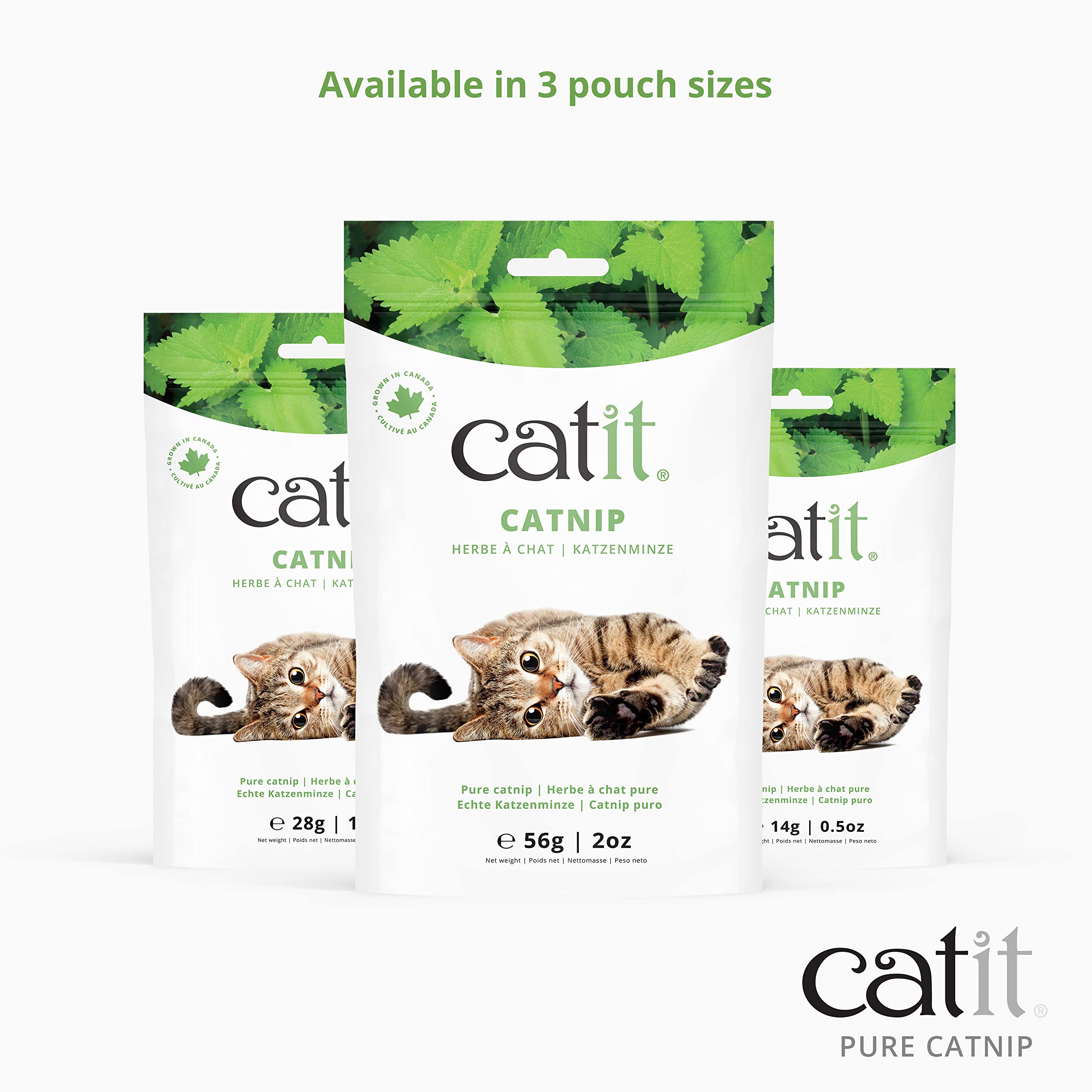 catit-katzenminze-getrocknet-kanadisch-2x-56g-beutel image 5