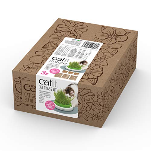 catit-katzengrassamen-set-3er-pack-pflanzset-f-r-frisches-katzengras image 8