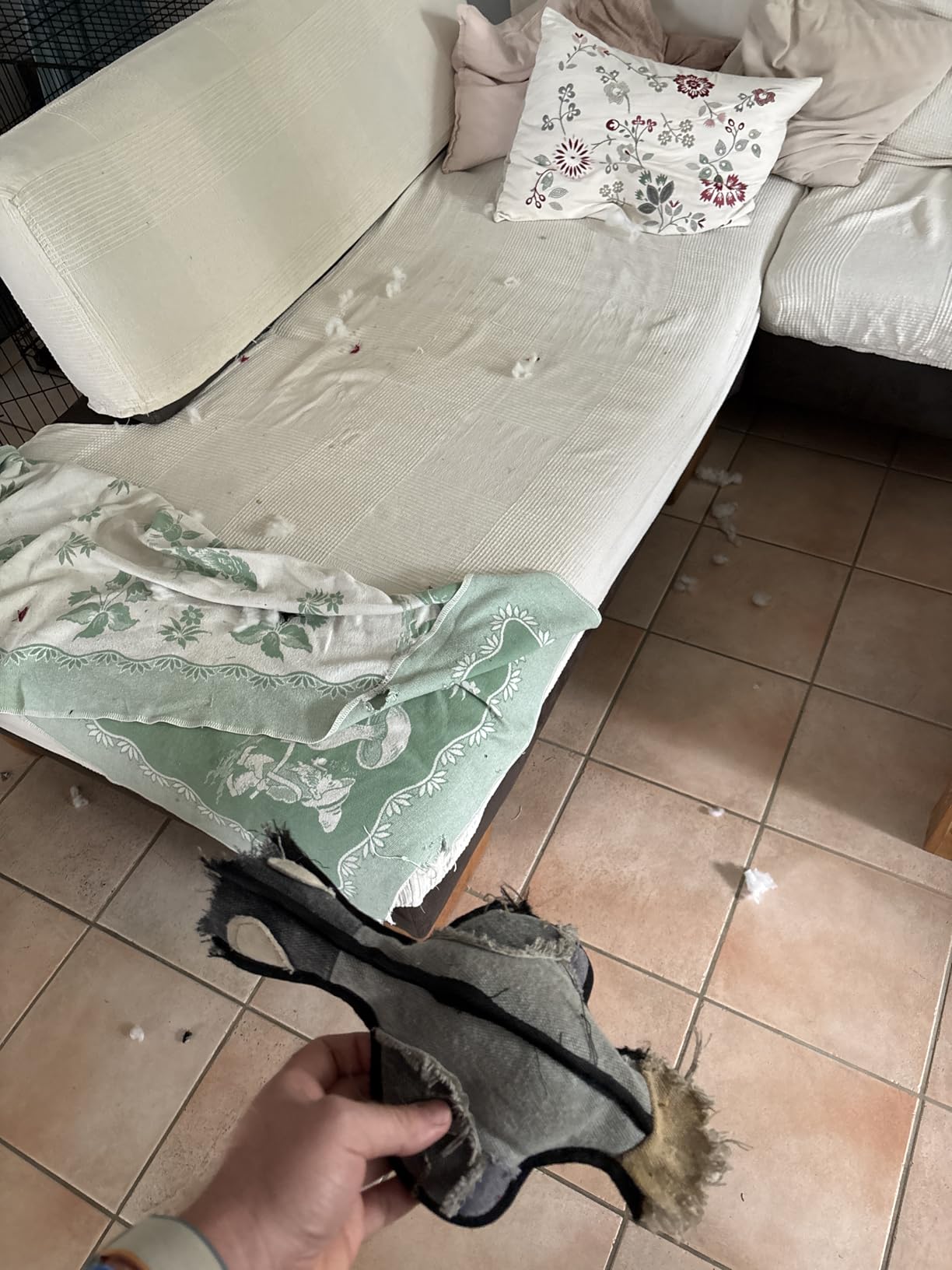 Lieblingsspielzeug zum Apportieren
