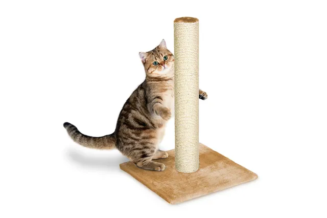 karlie-lisa-kratzbaum-pl-sch-sisal-beige-38x38x59-cm image 1