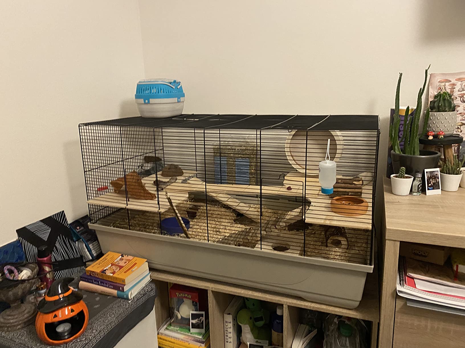 Schöner Käfig für Hamster