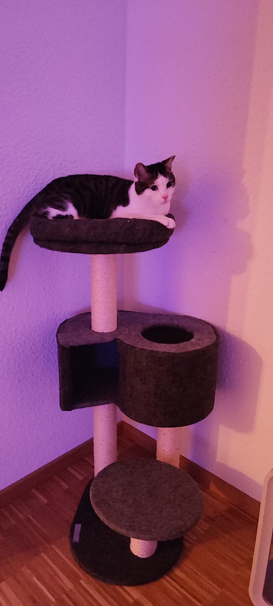 Mega stabil und schick
