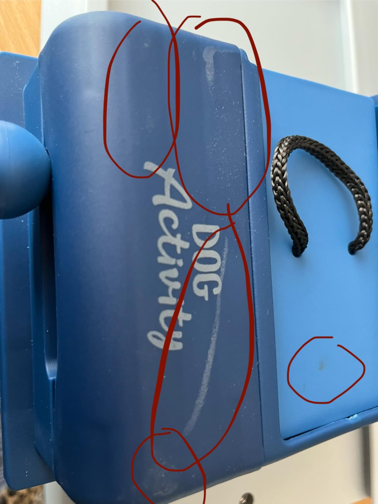 Perfekt für Regentage