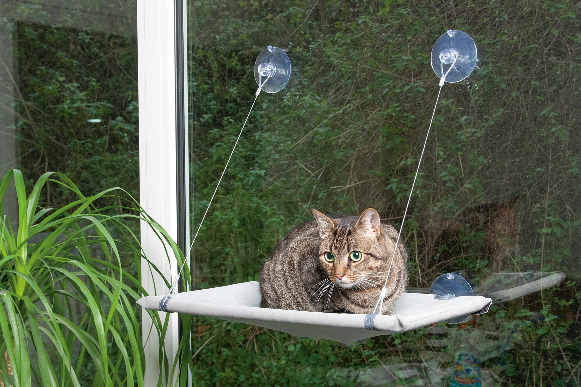 karlie-fensterliege-window-lounger-51-5x31x2-5-cm-bis-12-kg image 3