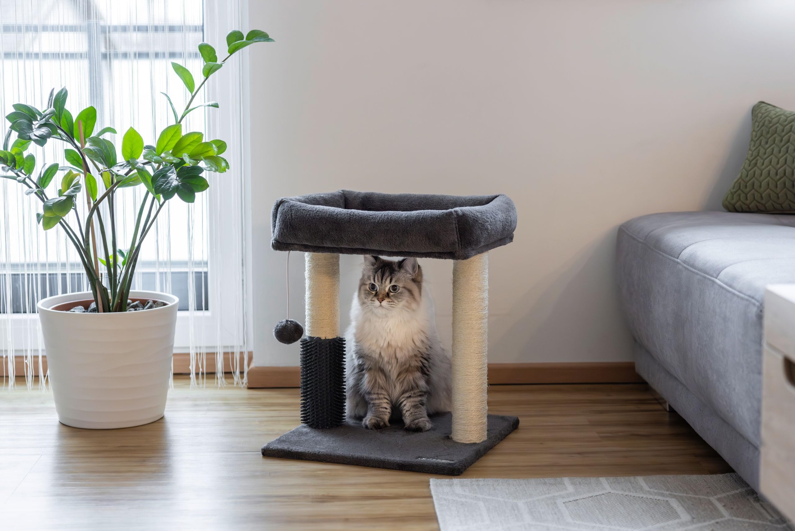 kerbl-pet-kratzbaum-rosi-grau-48-cm-holz-f-r-katzen image 7