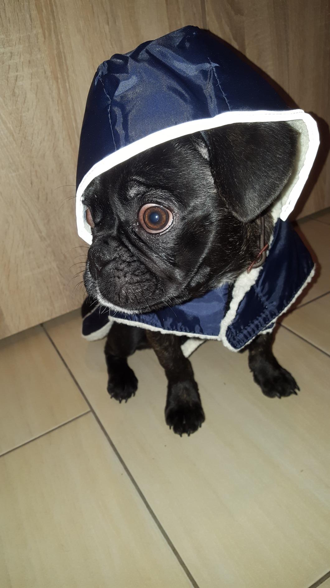 Hält schön warm am Bauch