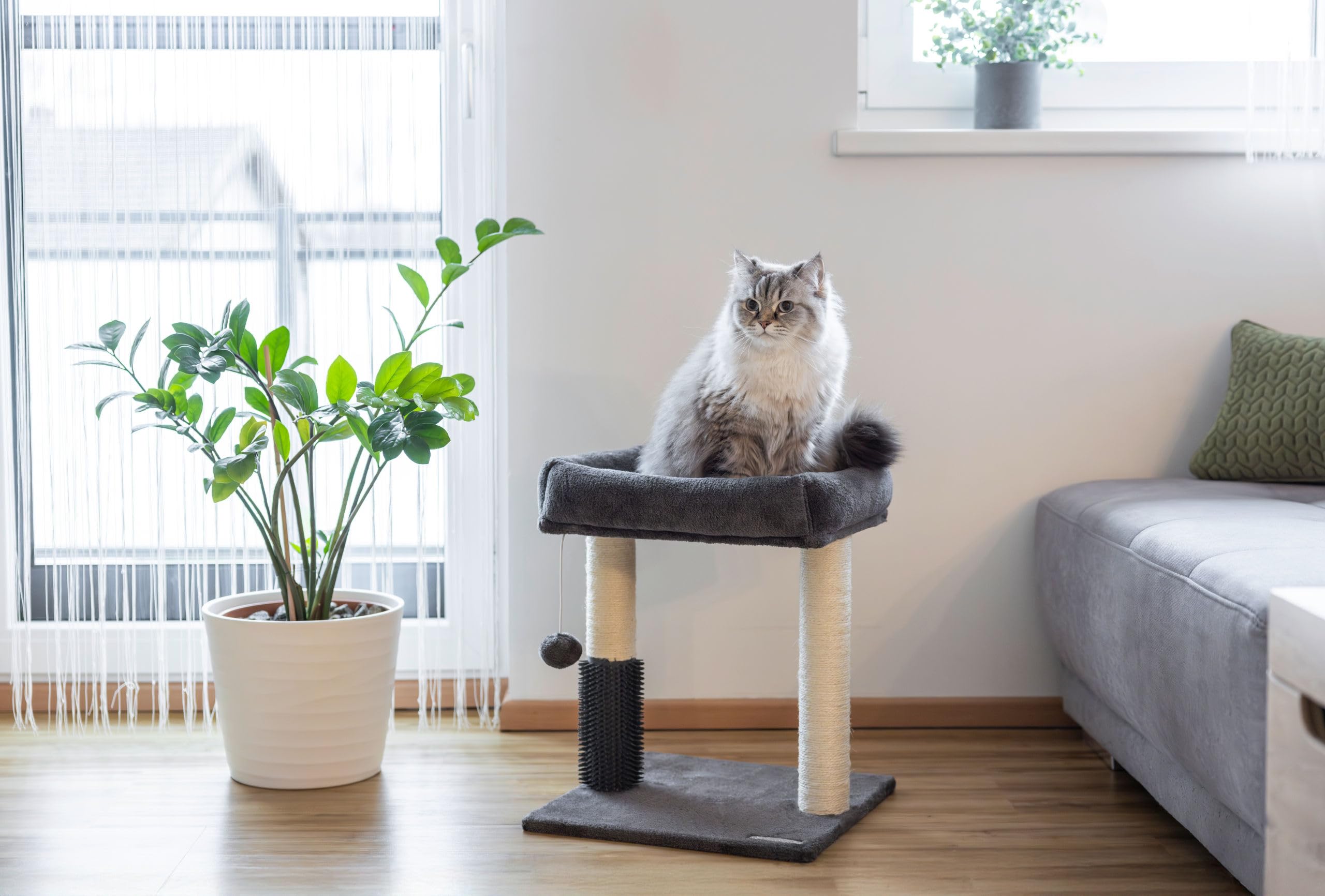 kerbl-pet-kratzbaum-rosi-grau-48-cm-holz-f-r-katzen image 2