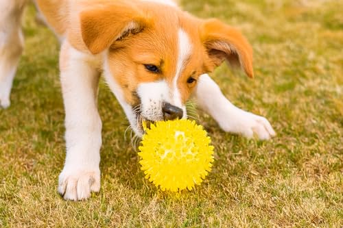 karlie-igelball-hundespielzeug-tpr-gelb-durchm-8-cm image 8