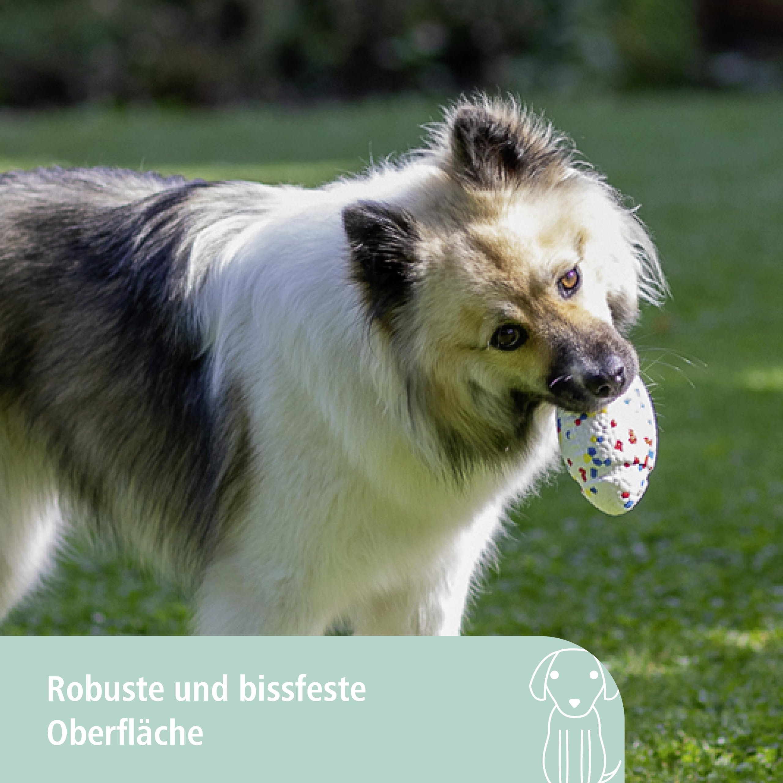 kerbl-pet-e-tpu-football-f-r-hunde-mehrfarbig-13-5-x-7-5-x-8-5-cm-schwimmf-hig image 3