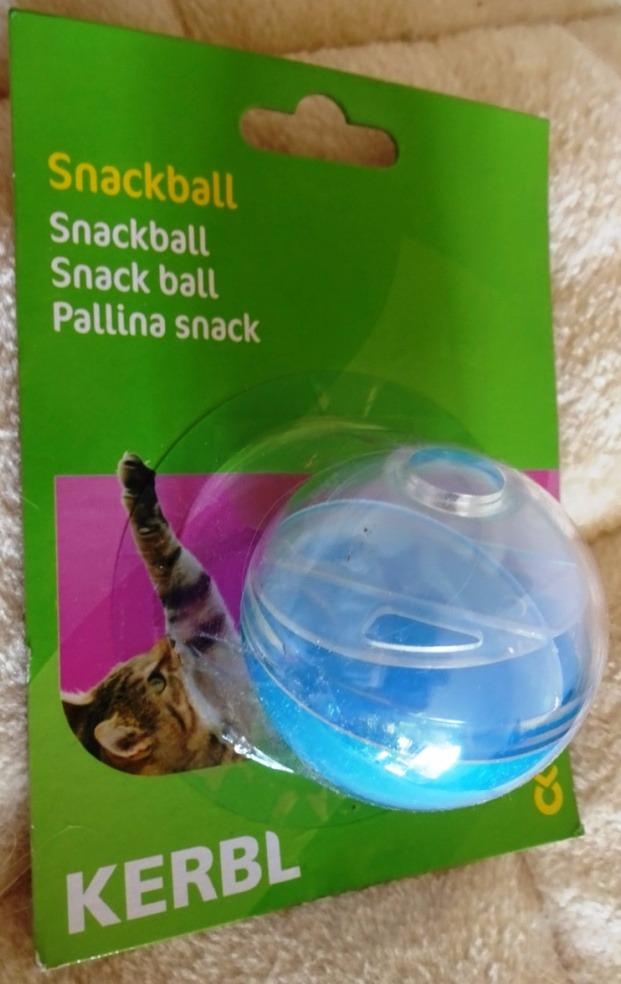 Spaß für Katze und Kaninchen