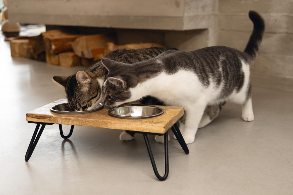 karlie-designed-by-lotte-linga-dinerset-katze-holz-metall-inkl-2-n-pfe image 8