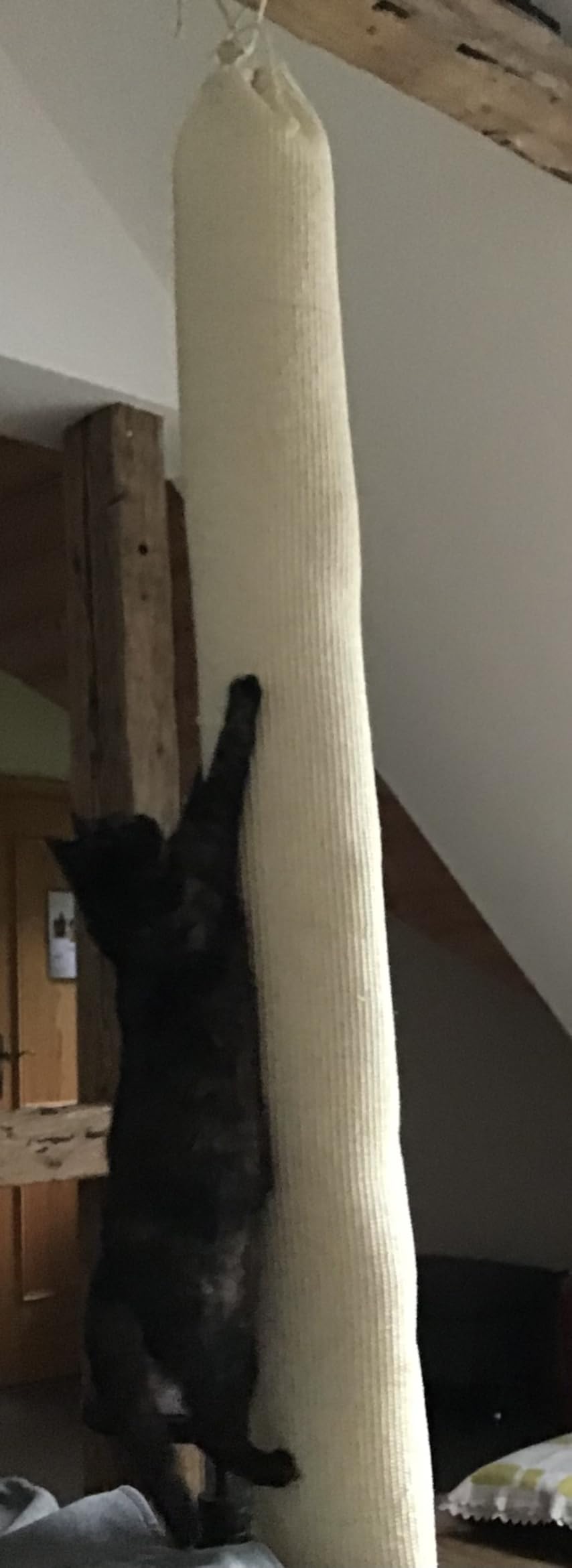 Kleiner Zirkus zu Hause