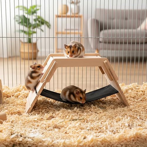 ferplast-arcade-bridge-hamster-holzbr-cke-mit-h-ngematte-und-leiter-35-x-10-x-h- image 8