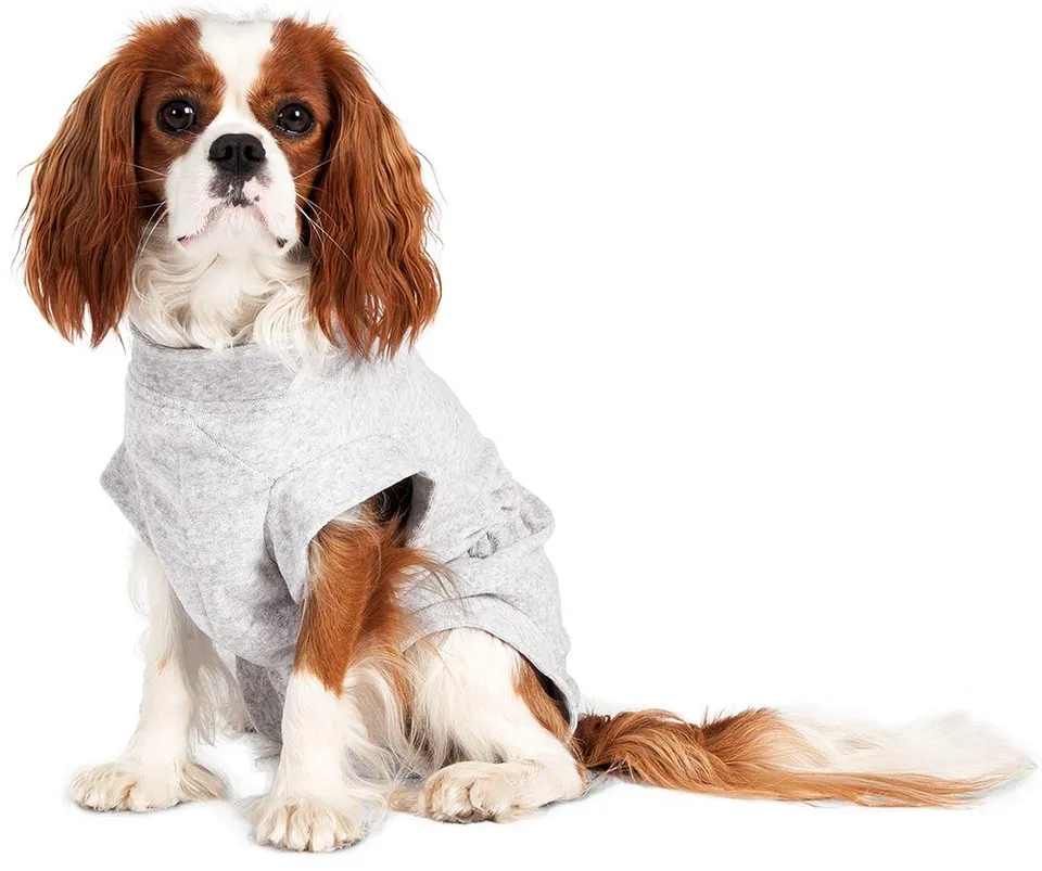 karlie-safety-body-f-r-hunde-medizinische-versorgung-baumwolle-grau-26-cm image 1