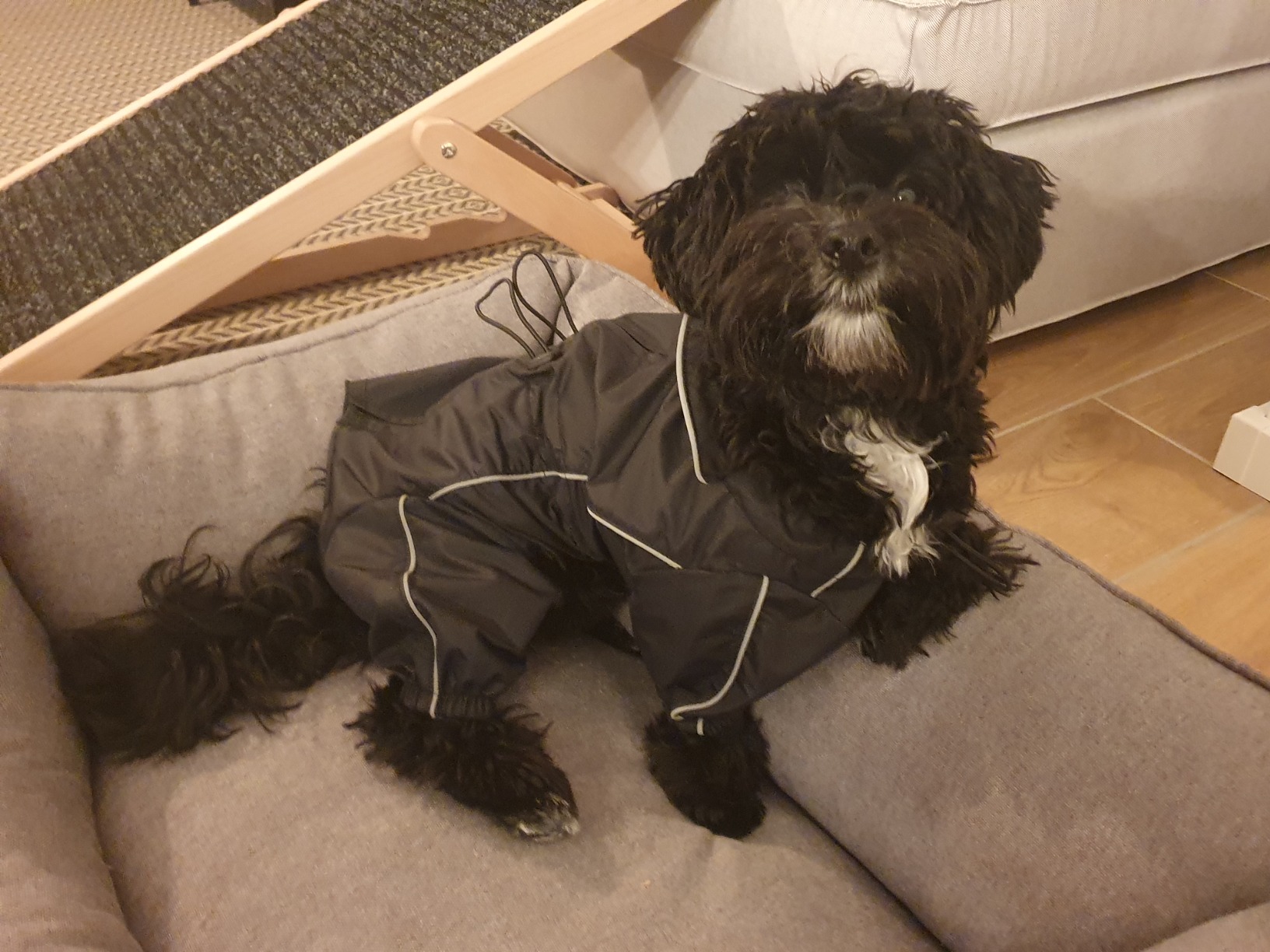 Spaziergang im Regen kein Drama mehr