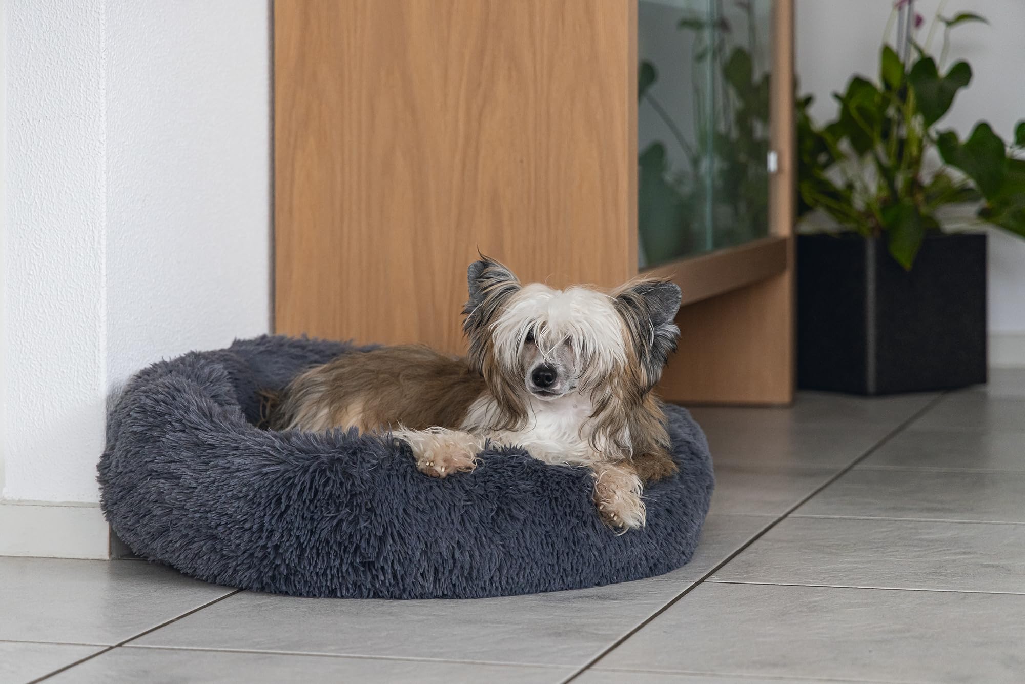 karlie-agnes-hundebett-rund-polyester-grau-58-5x58-5x14-cm image 5