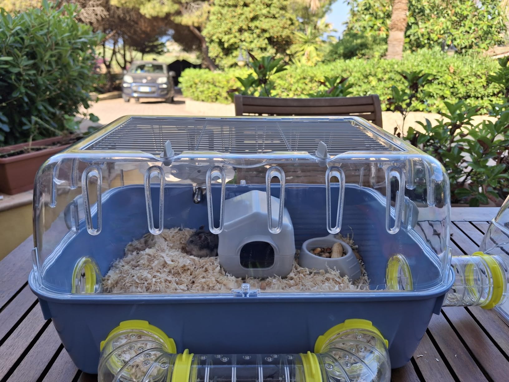 Gut für Mäuse, für Hamster grenzwertig